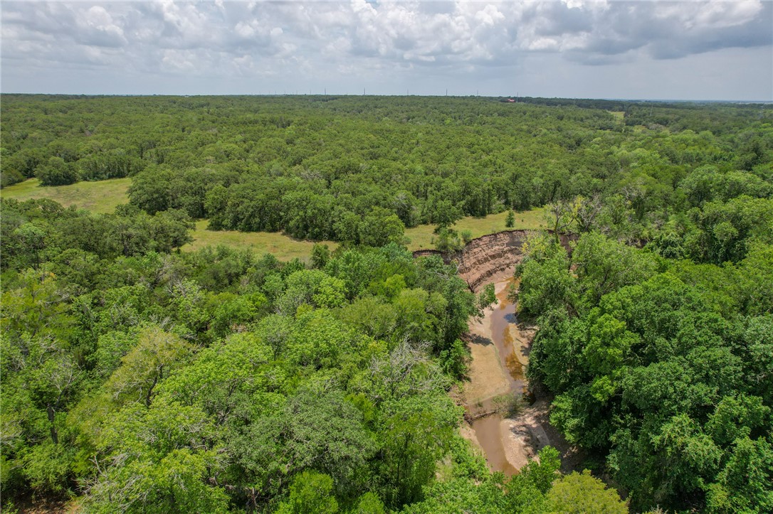 5 Jones Road College Station, TX 77845 - Photo 21 of 40 a view of a big yard with houses