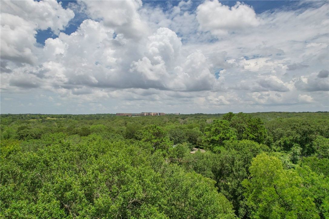 5 Jones Road College Station, TX 77845 - Photo 22 of 40 a view of a field of grass and trees