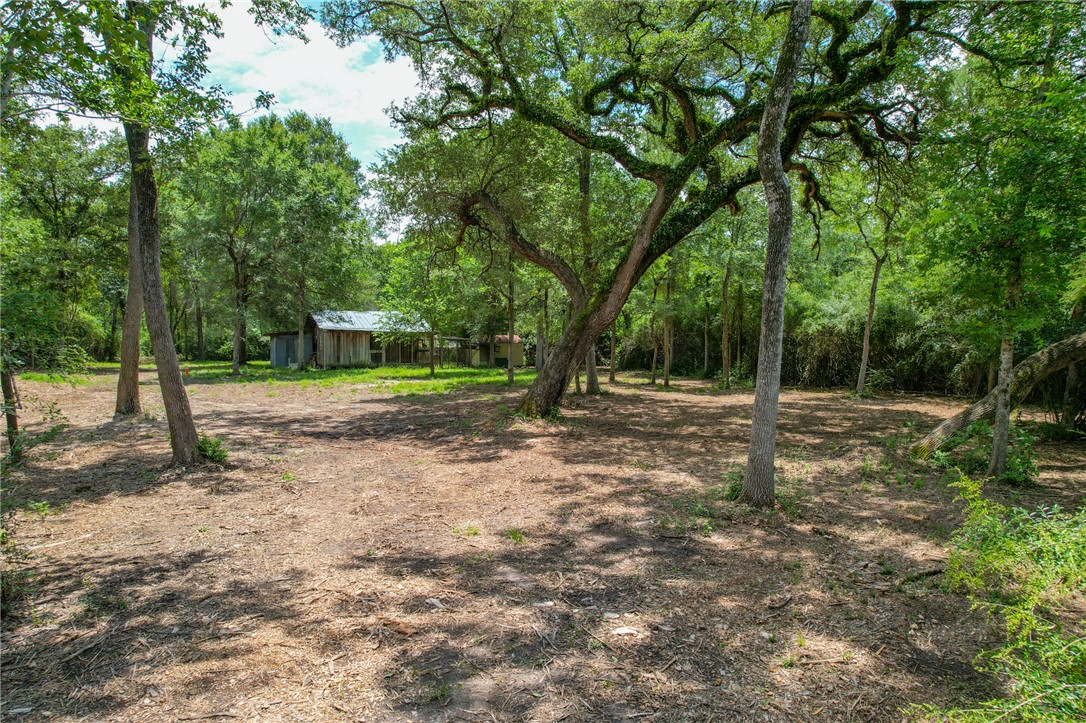 5 Jones Road College Station, TX 77845 - Photo 23 of 40 a view of outdoor space with trees