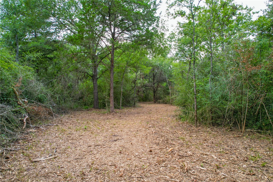 5 Jones Road College Station, TX 77845 - Photo 25 of 40