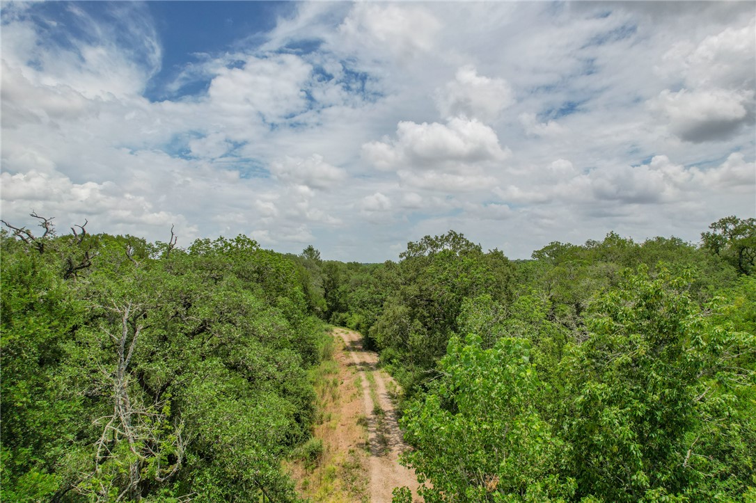 5 Jones Road College Station, TX 77845 - Photo 26 of 40 view of a bunch of trees