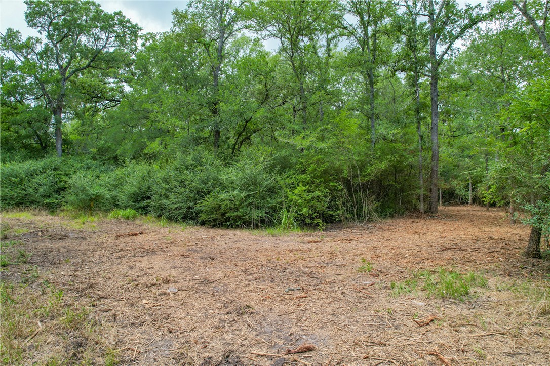 5 Jones Road College Station, TX 77845 - Photo 27 of 40 a view of a dirt road with trees in the background