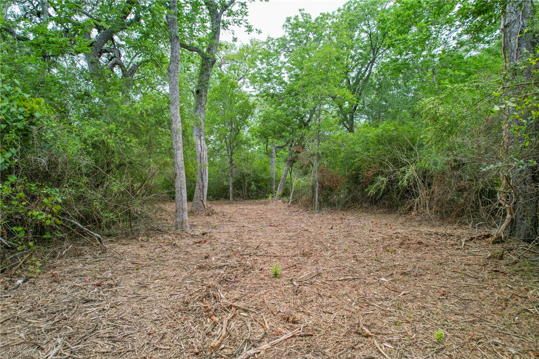 5 Jones Road College Station, TX 77845 - Photo 30 of 40 a view of a forest with trees in the background