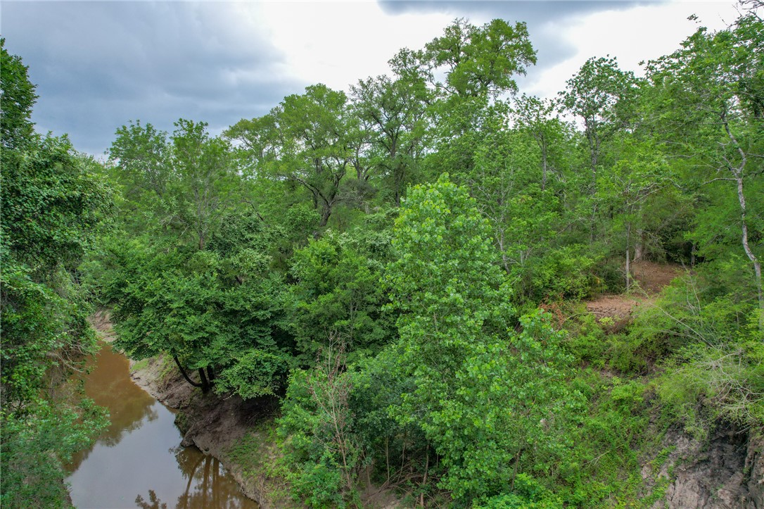 5 Jones Road College Station, TX 77845 - Photo 31 of 40 a view of a forest with a lake