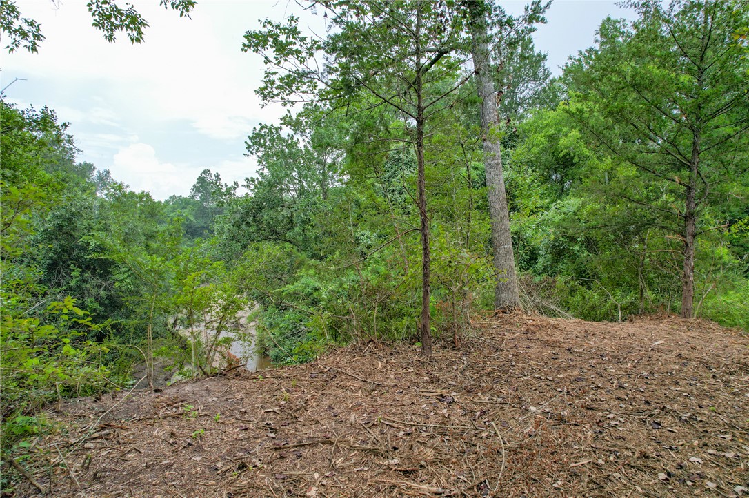 5 Jones Road College Station, TX 77845 - Photo 34 of 40 a view of a forest with trees