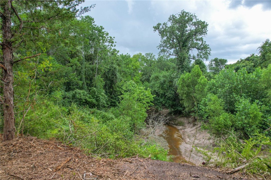 5 Jones Road College Station, TX 77845 - Photo 35 of 40 a view of a yard with plants and a tree