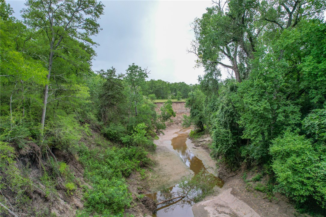 5 Jones Road College Station, TX 77845 - Photo 40 of 40 a view of a pathway both side of green forest