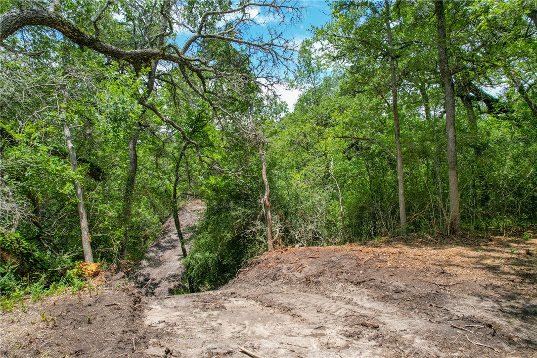 5 Jones Road College Station, TX 77845 - Photo 6 of 40 a view of outdoor space and trees