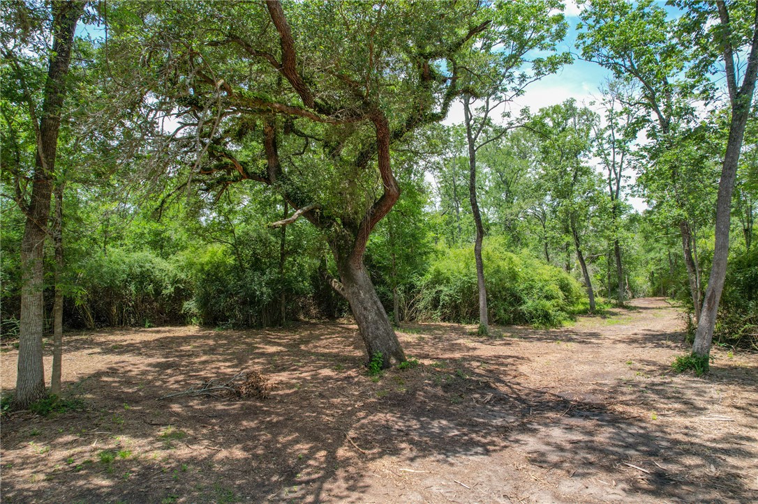 5 Jones Road College Station, TX 77845 - Photo 7 of 40 a view of outdoor space with lots of trees