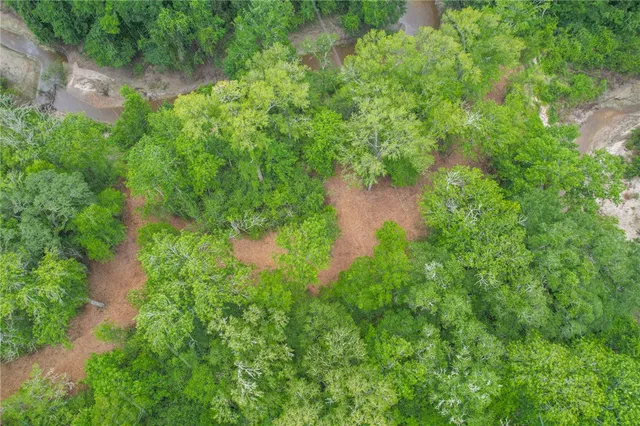 a view of a garden with a lake