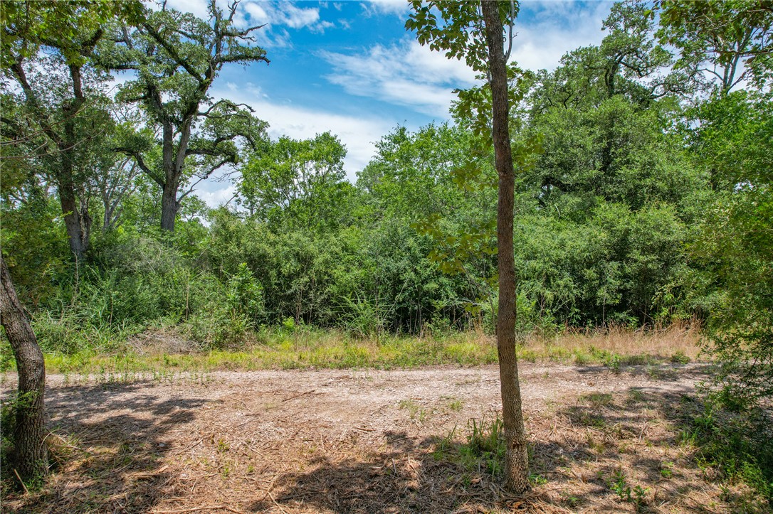 5 Jones Road College Station, TX 77845 - Photo 10 of 40 a view of a yard with plants and trees