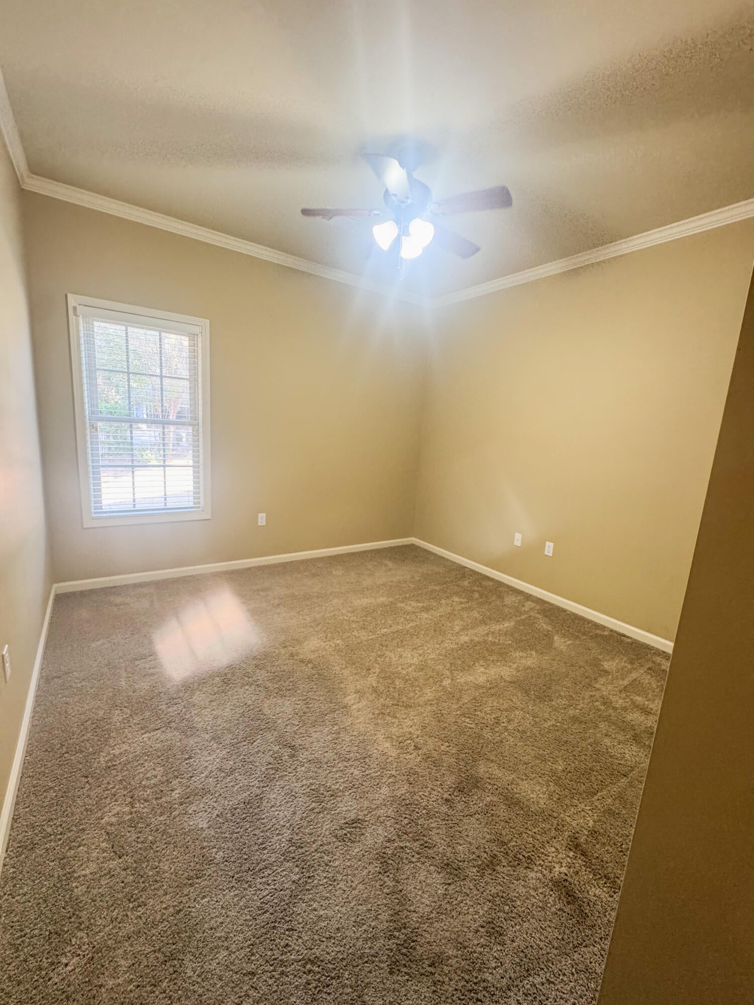 205 North Thomas Street Amory, MS 38821 - Photo 16 of 33 Gallery Image 16