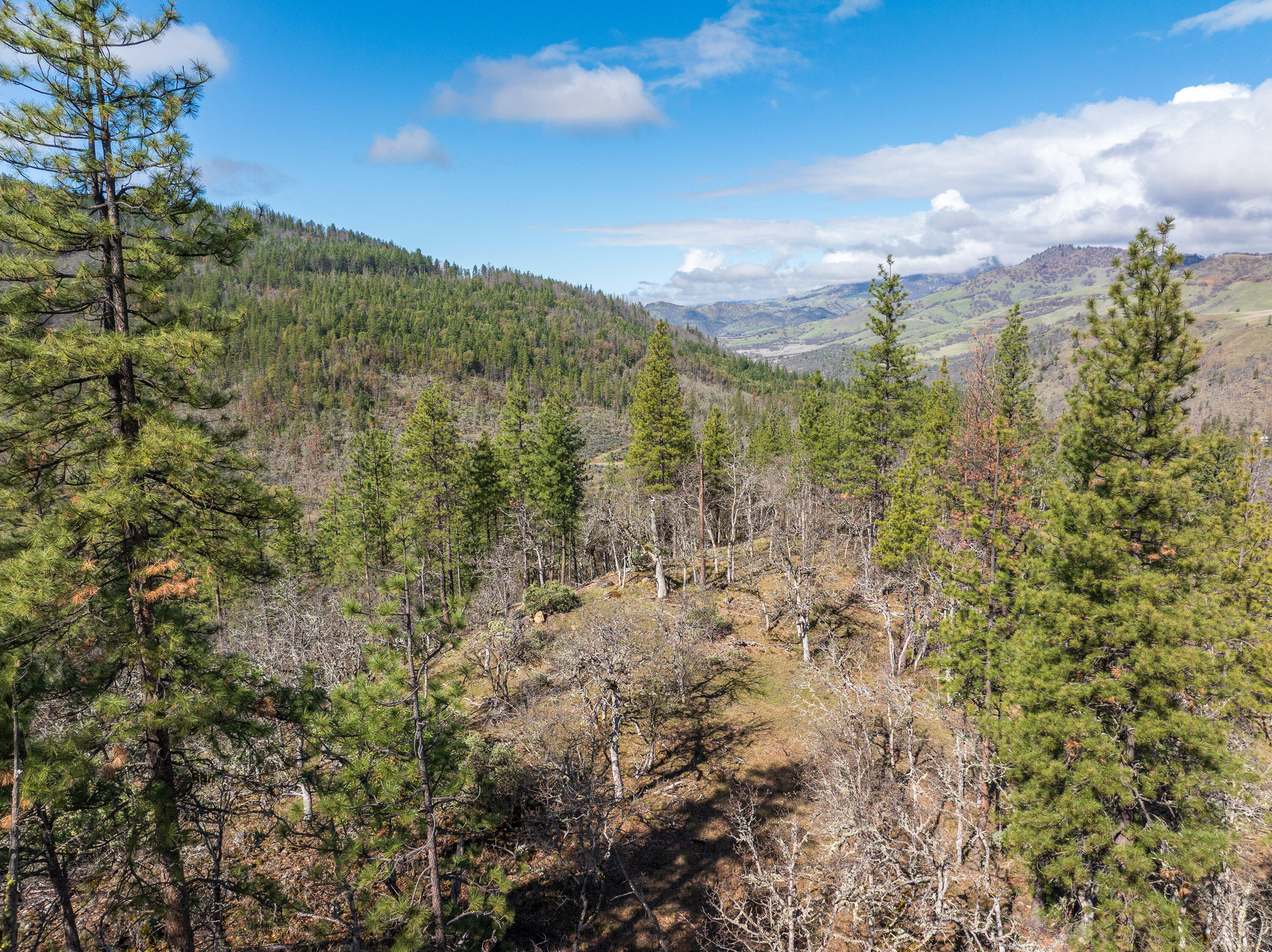 2829 Buckhorn Springs Road Ashland, OR 97520 - Photo 8 of 44 007