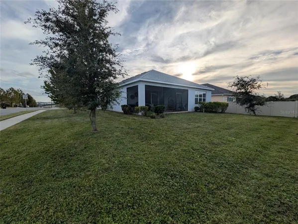 a swimming pool with palm tree