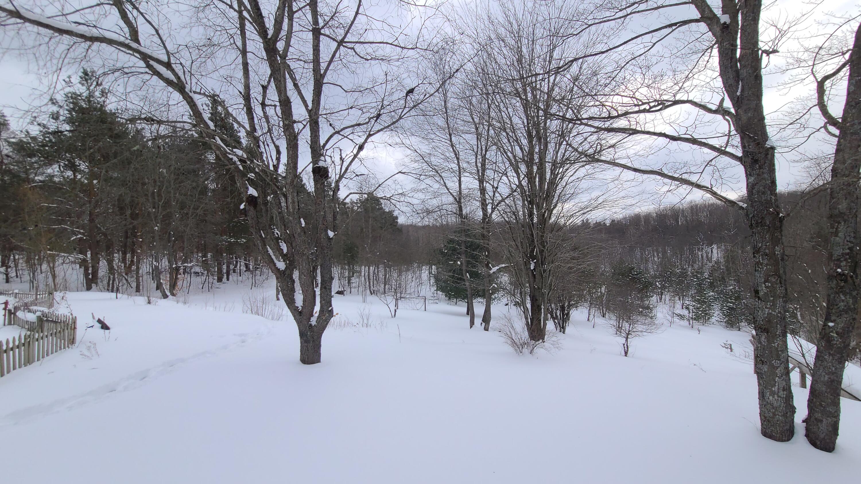 4241 Hallenius Road Gaylord, MI 49735 - Photo 25 of 28 Gallery Image 25