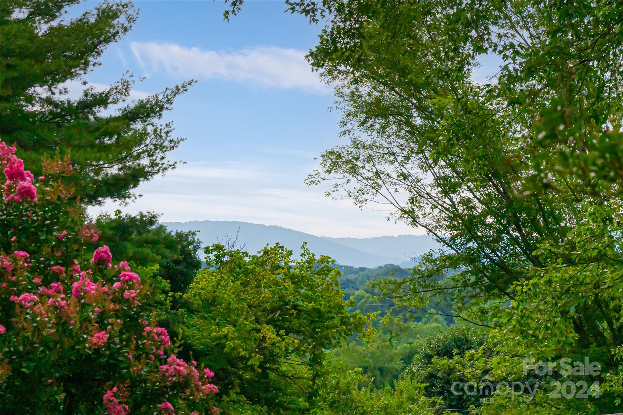 49 Big Cove Road Candler, NC 28715 - Photo 4 of 48 Gallery Image 4
