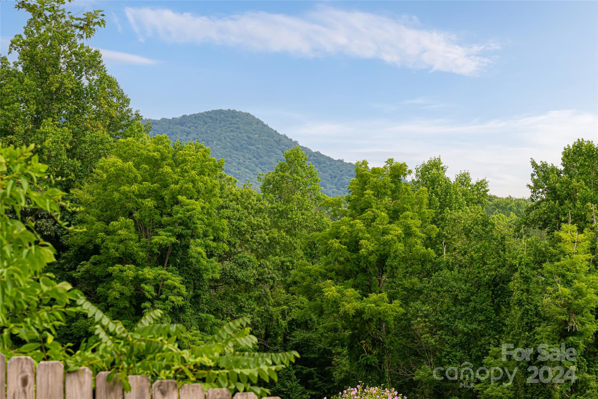 49 Big Cove Road Candler, NC 28715 - Photo 46 of 48 Gallery Image 46