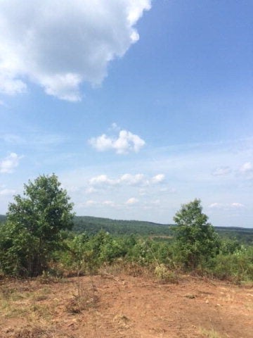 0 Hayes Mill Road Dadeville, AL 36853 - Photo 8 of 14 Gallery Image 8