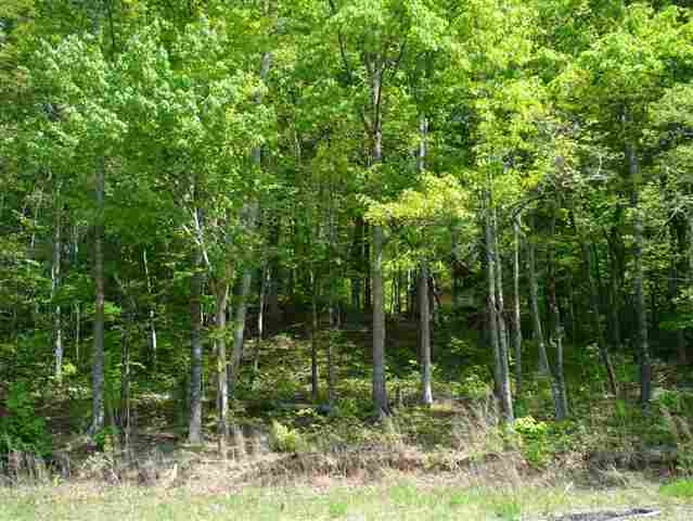 511 Point Road, Unit LOT 1663 CHICKASAW PT Westminster, SC 29693 - Photo 2 of 9 Gallery Image 2