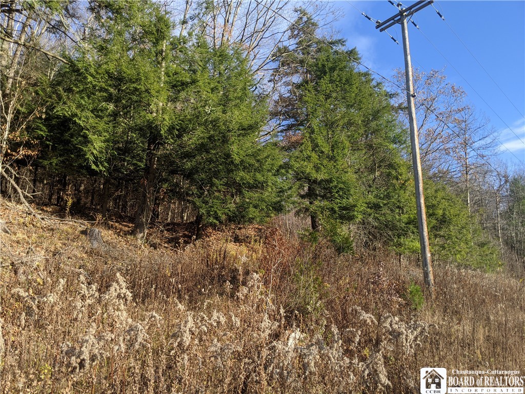 0 Salt Rising Bolivar, NY 14715 - Photo 1 of 1 Gallery Image 1