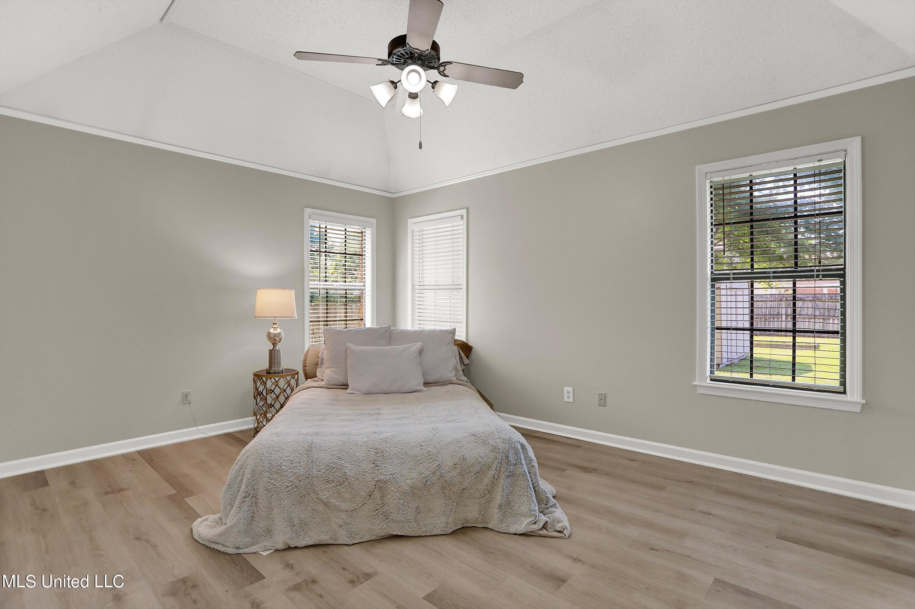 10051 Goodman Road Olive Branch, MS 38654 - Photo 15 of 30 Primary bedroom