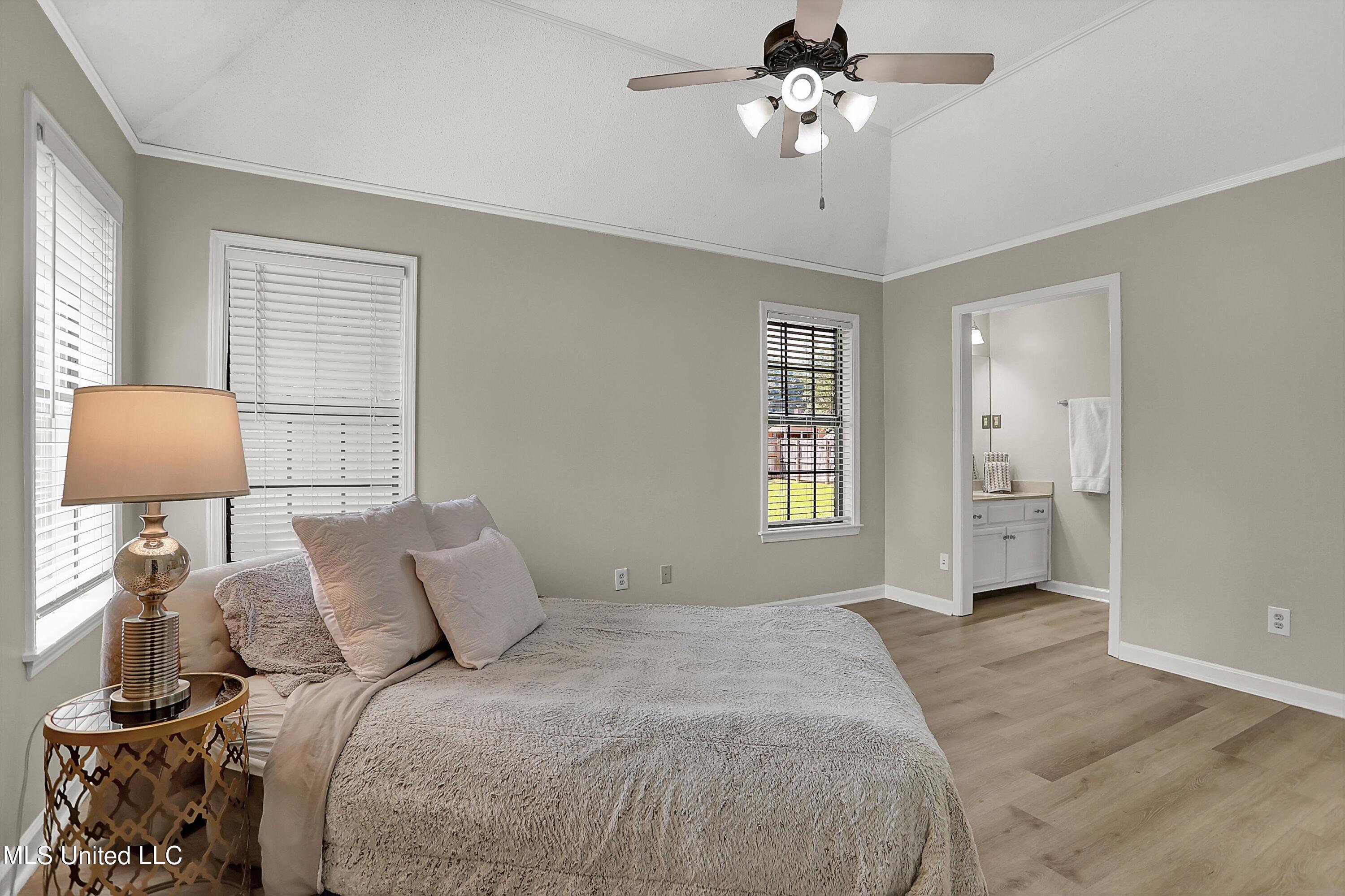 10051 Goodman Road Olive Branch, MS 38654 - Photo 17 of 30 Primary w/own full bath