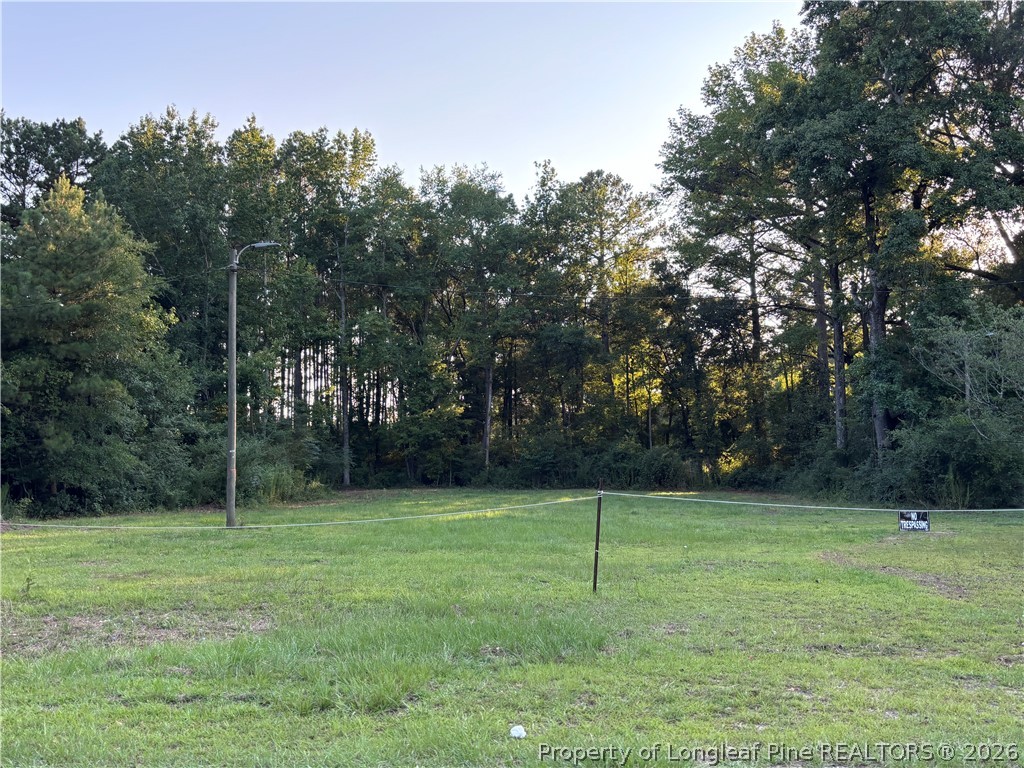 595 Shaw Road St. Pauls, NC 28384 - Photo 29 of 29