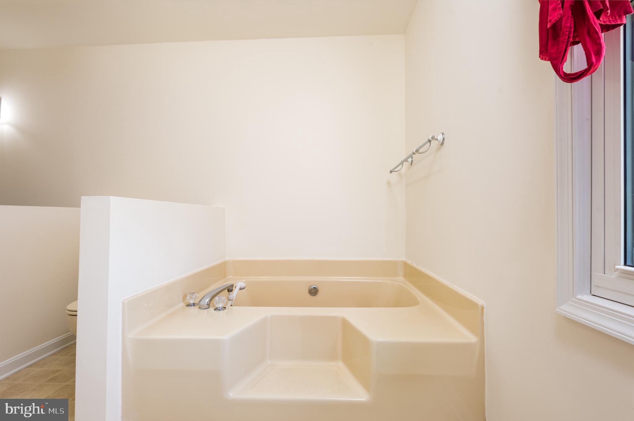 10211 Homeland Road Rixeyville, VA 22737 - Photo 20 of 30 Main Bath