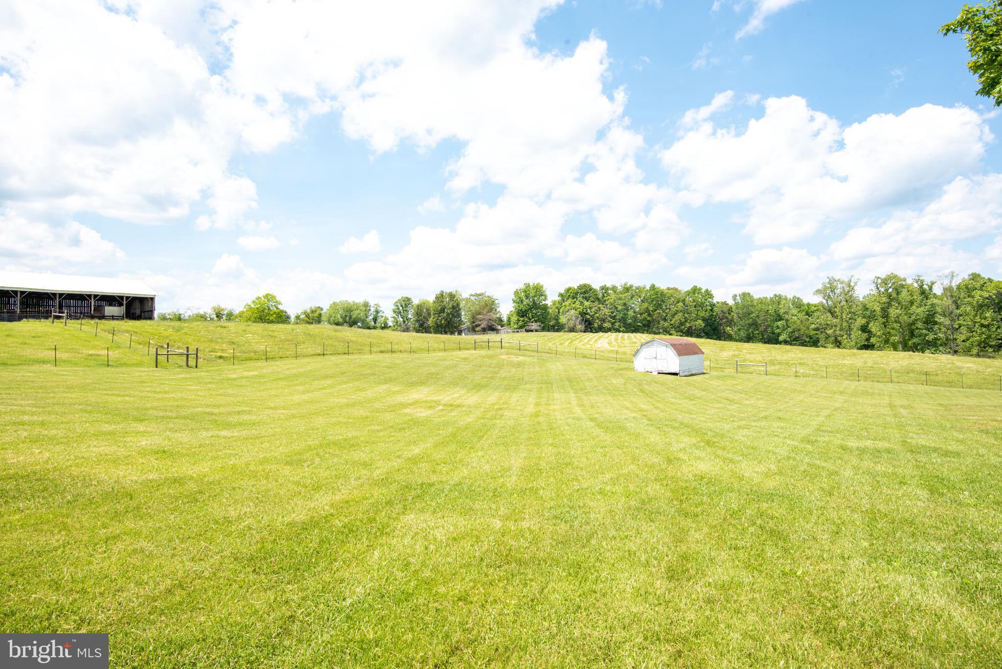 10211 Homeland Road Rixeyville, VA 22737 - Photo 7 of 30 Rear Yard