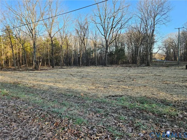 a view of a field with trees in the background