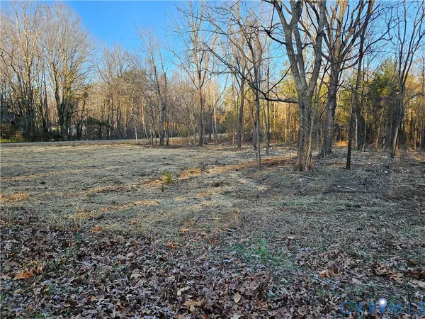 a view of dirt yard with trees