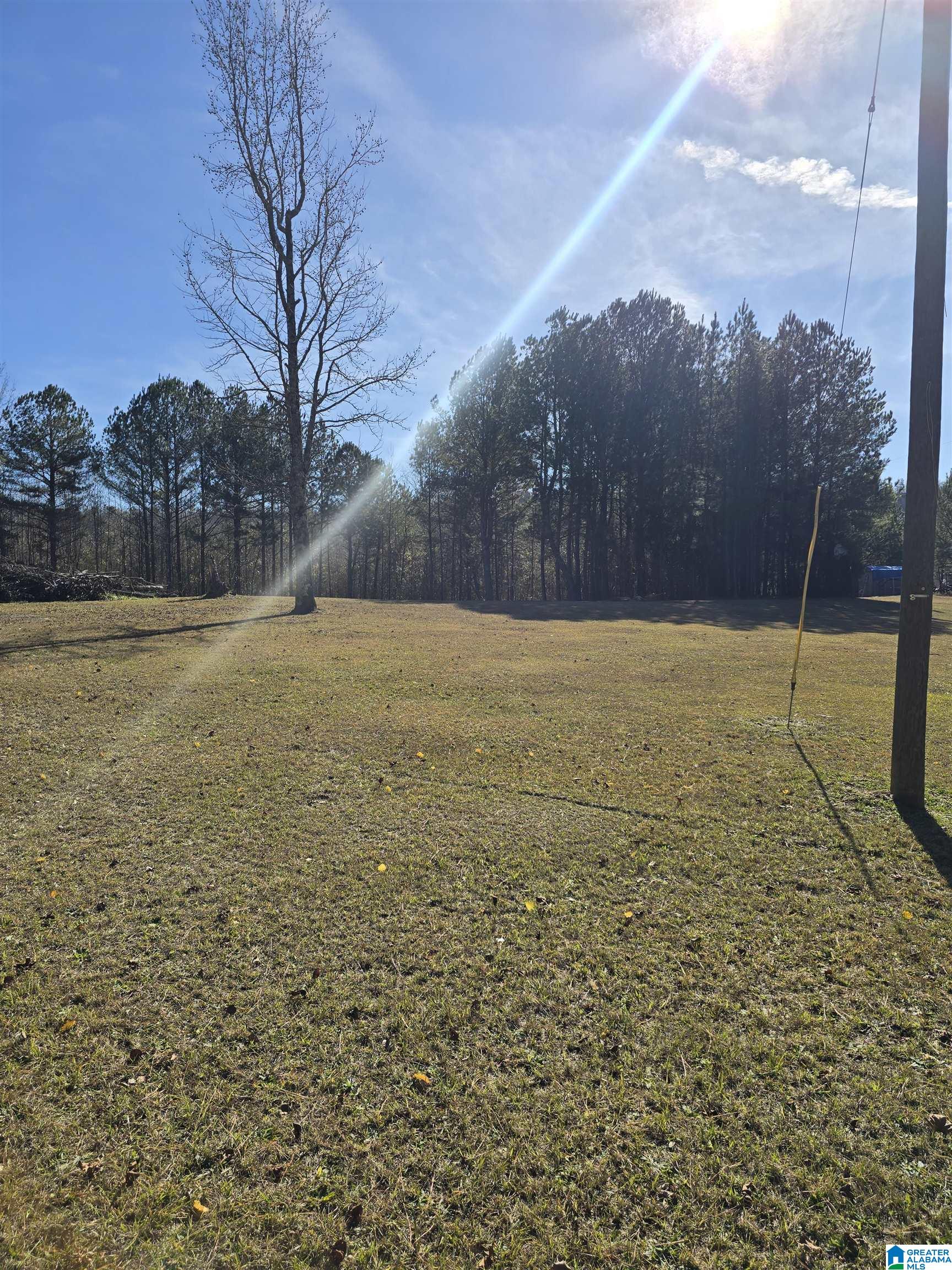 4850 Shoal Creek Road, Unit ACREAGE Ashville, AL 35953 - Photo 2 of 18