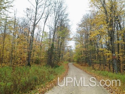 Tbd Whitefish Road Chatham, MI 49816 - Photo 5 of 30