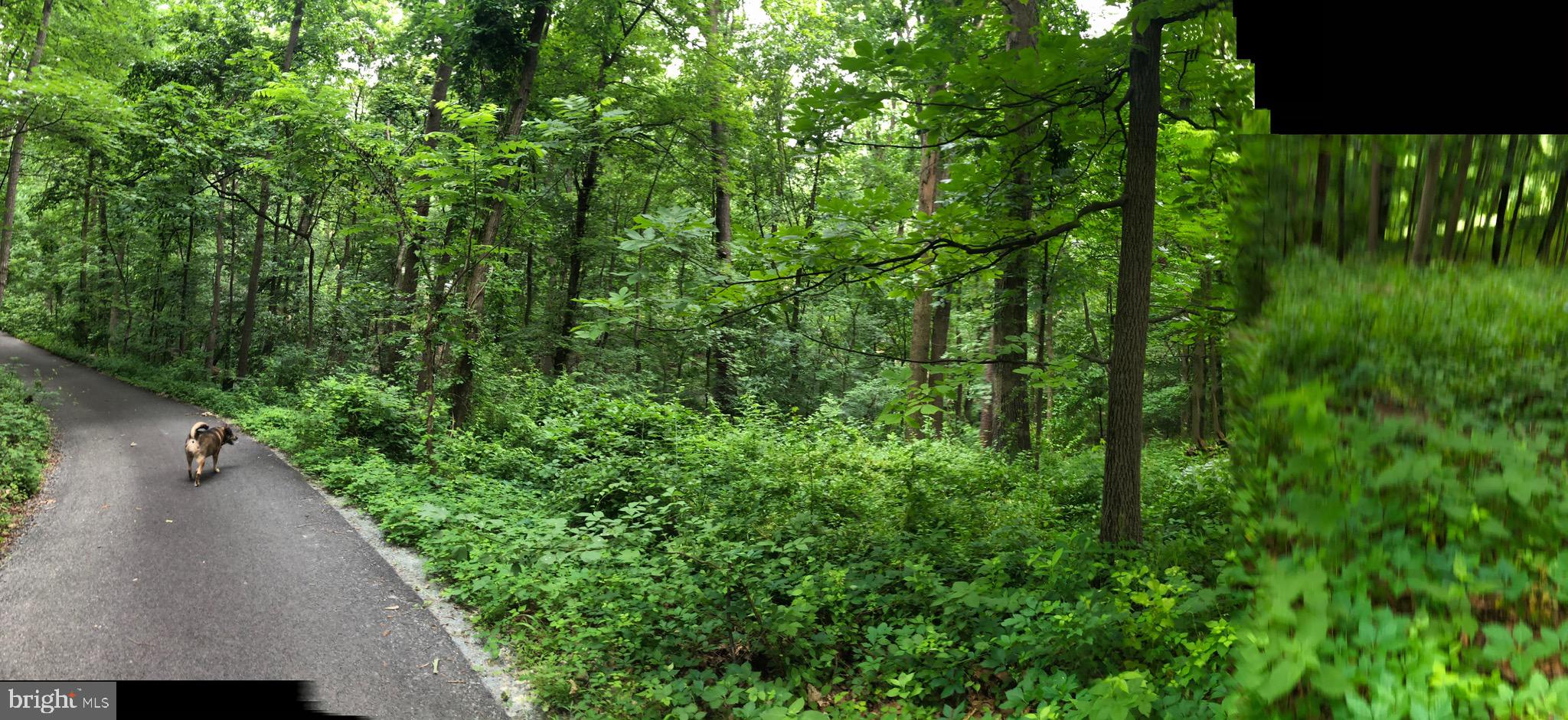 11131 Kingstead Road Damascus, MD 20872 - Photo 11 of 80 Gallery Image 11