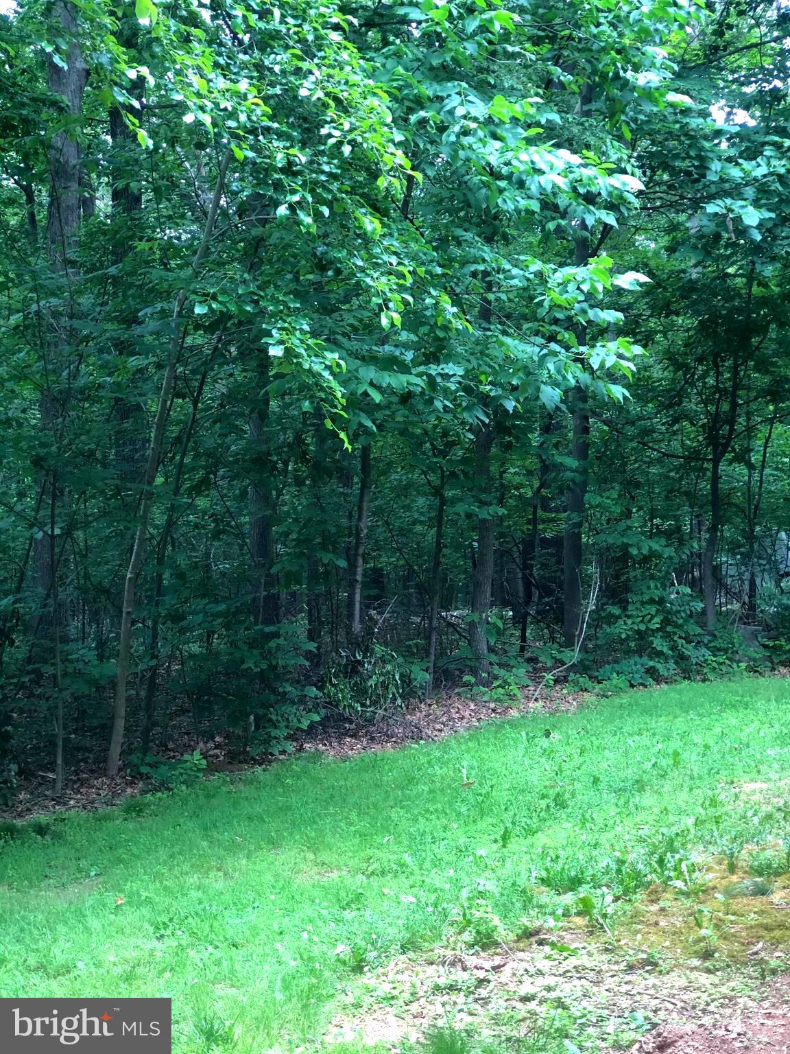 11131 Kingstead Road Damascus, MD 20872 - Photo 27 of 80 Gallery Image 27