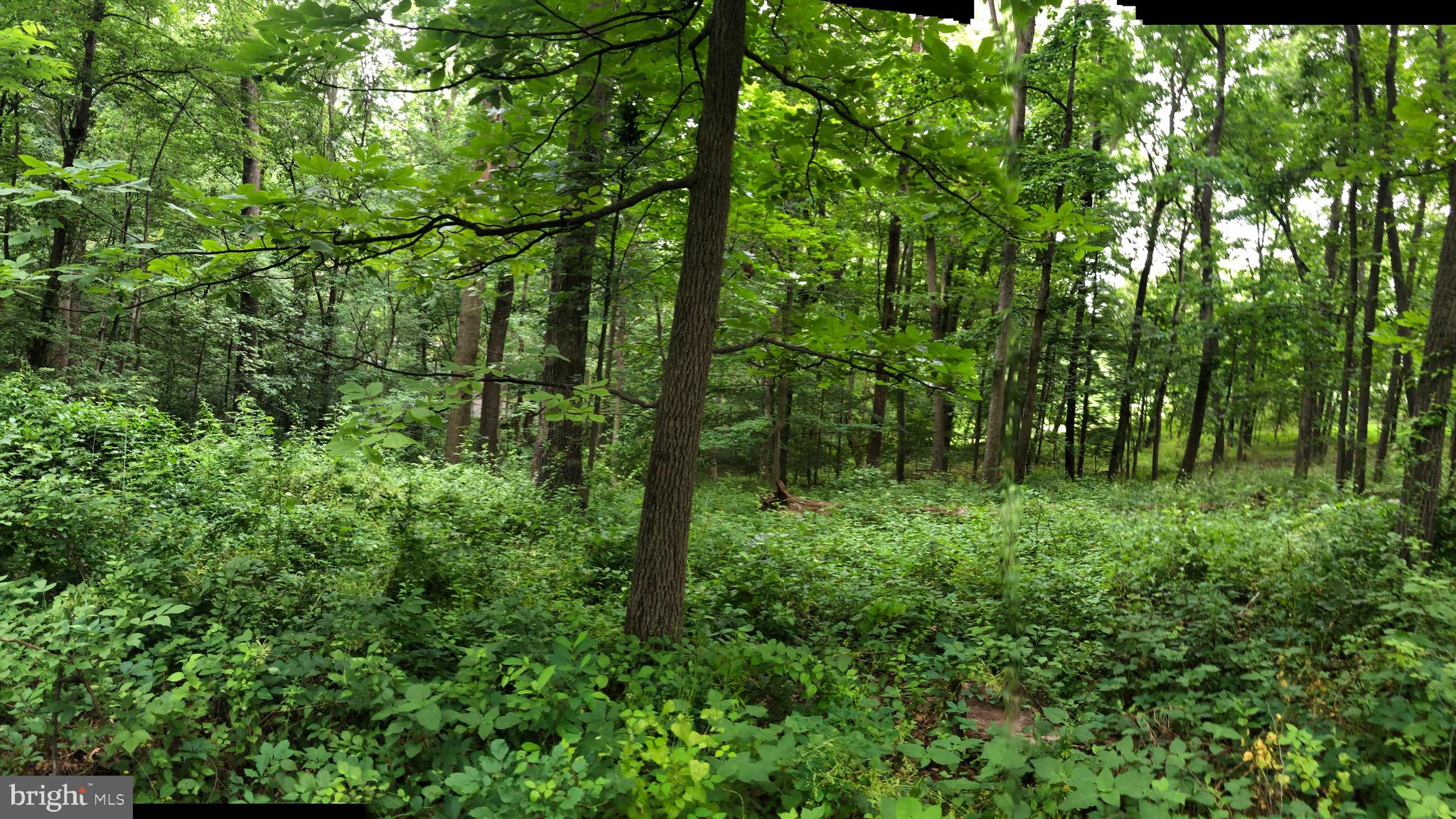 11131 Kingstead Road Damascus, MD 20872 - Photo 45 of 80 Gallery Image 45