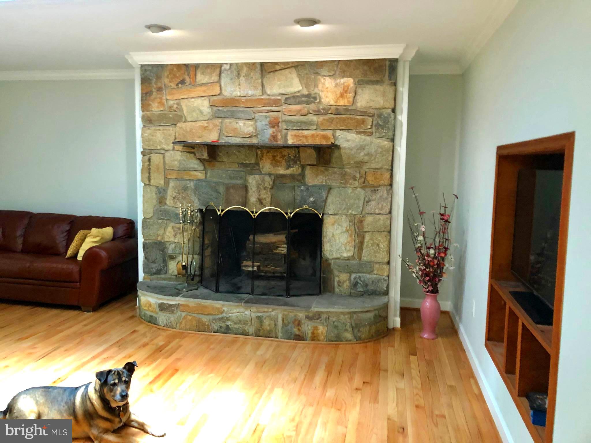 11131 Kingstead Road Damascus, MD 20872 - Photo 55 of 80 Gallery Image 55