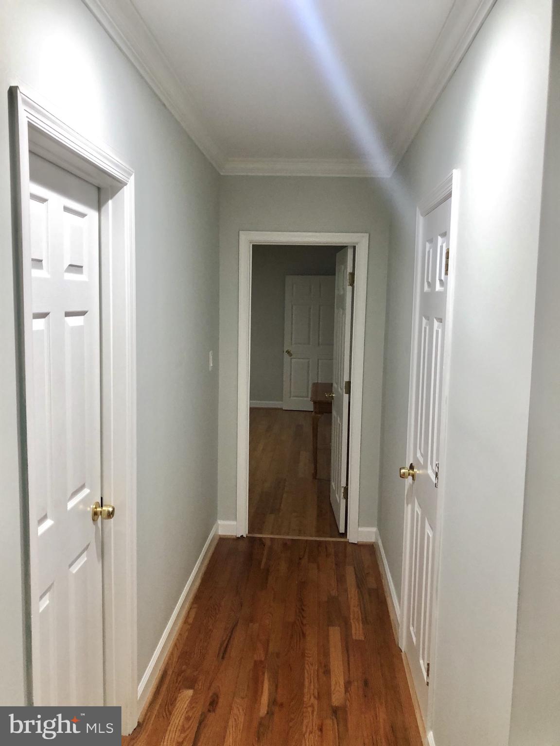 11131 Kingstead Road Damascus, MD 20872 - Photo 66 of 80 Gallery Image 66