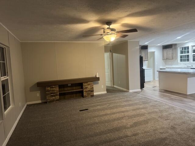 236 Wash Wilson Loop Blue Ridge, GA 30513 - Photo 3 of 22 IMG_4912