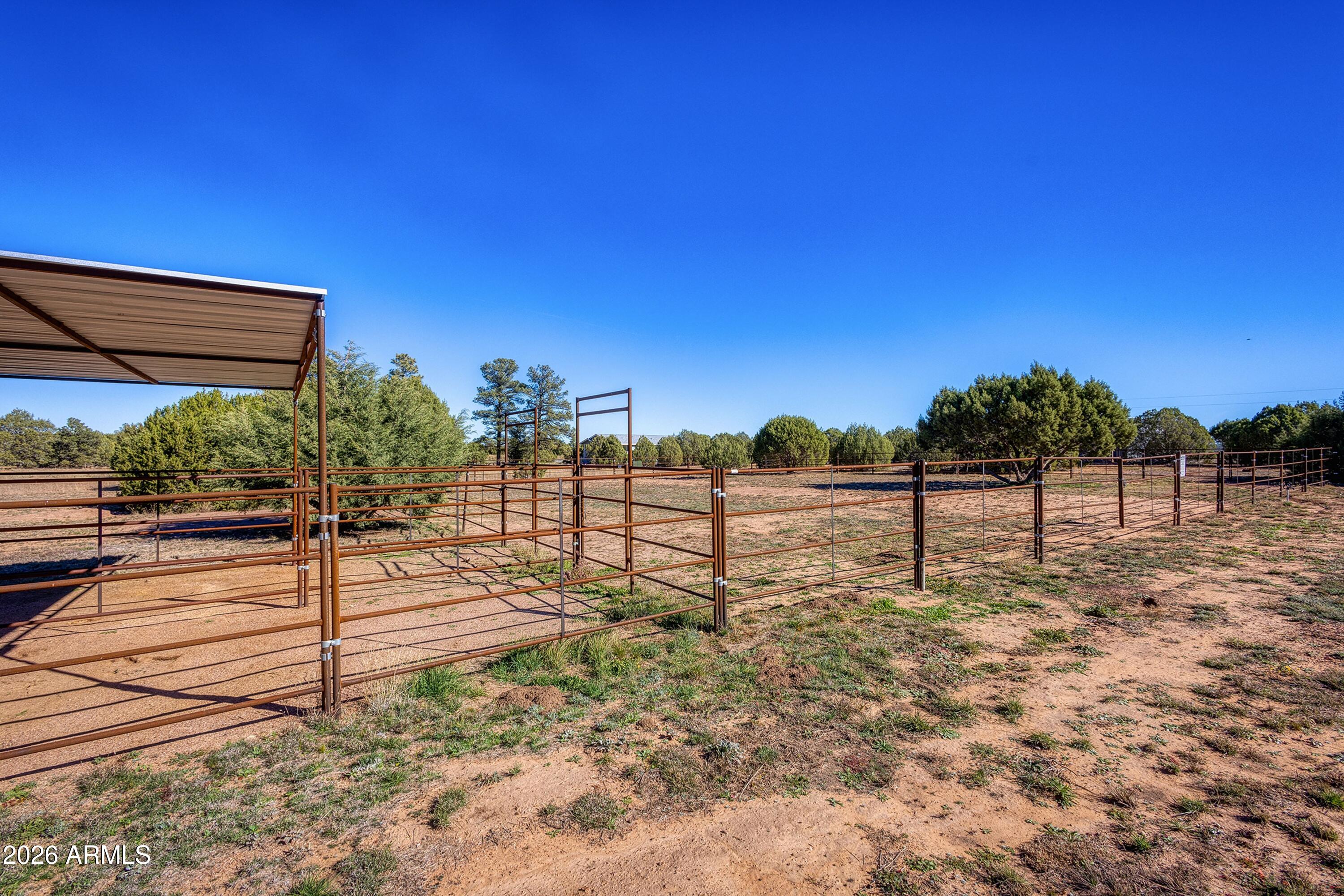 1898 Rocky Lane Show Low, AZ 85901 - Photo 53 of 59 a view of a yard