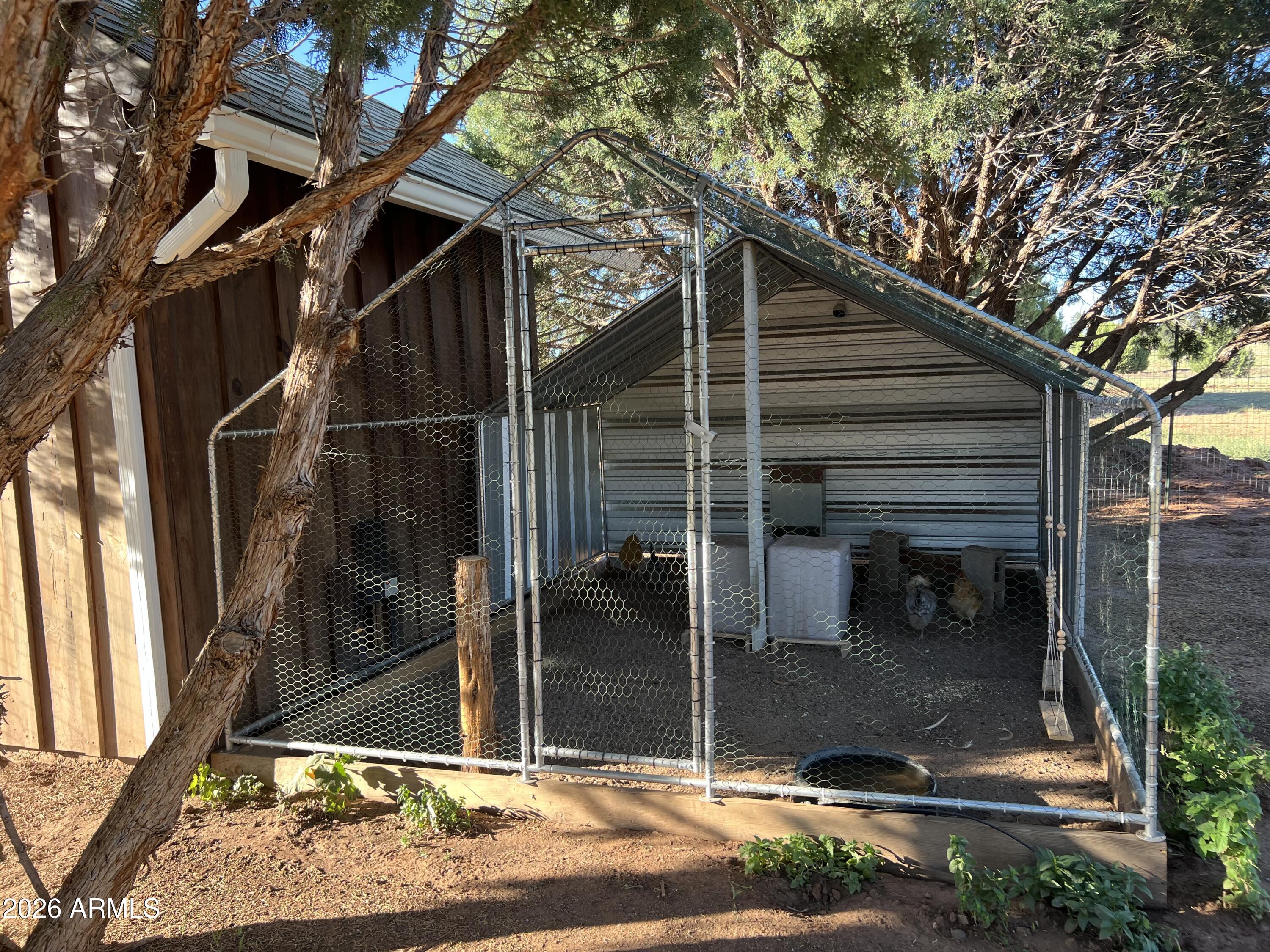 1898 Rocky Lane Show Low, AZ 85901 - Photo 56 of 59 Chick Coop 2