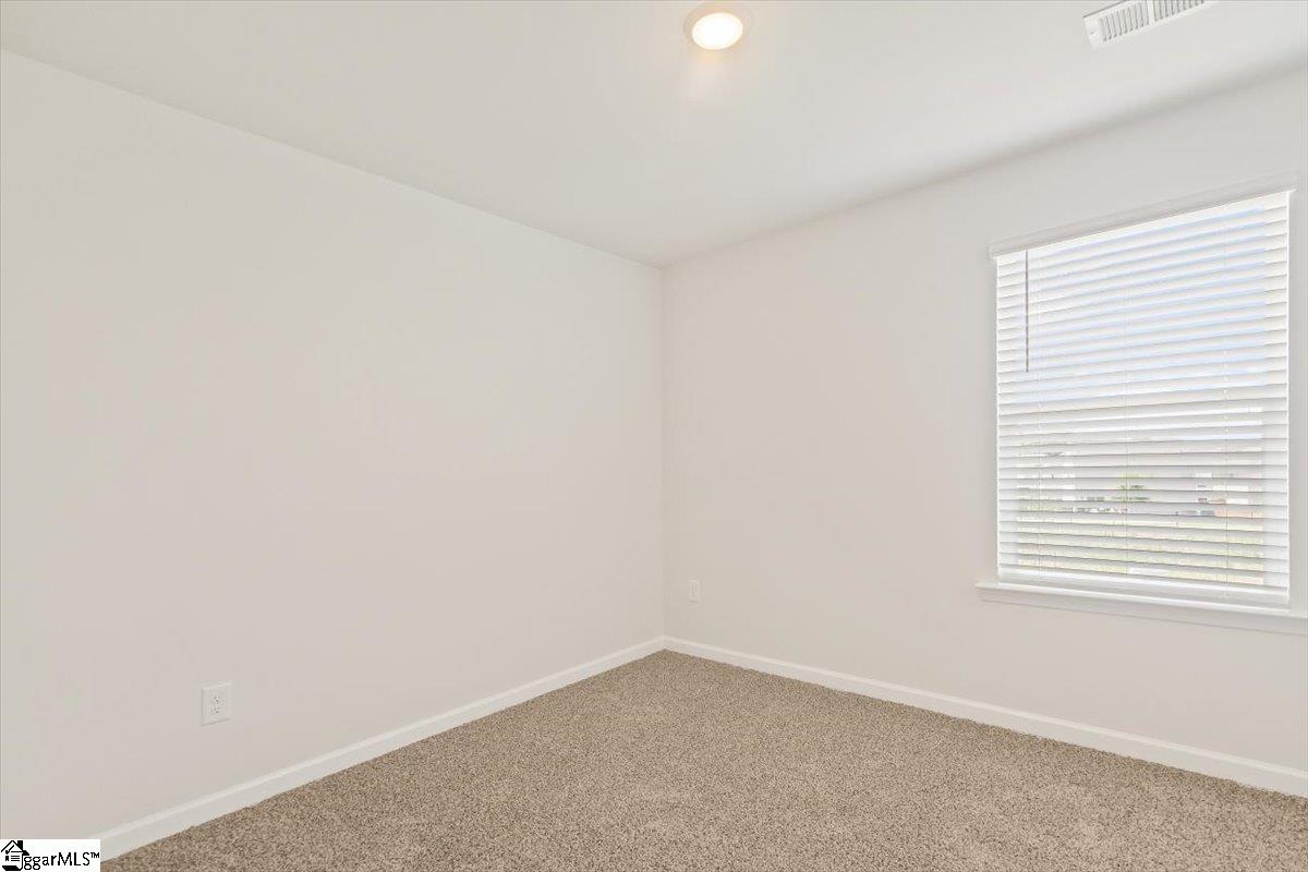 125 Cillian Street Fountain Inn, SC 29644 - Photo 25 of 28