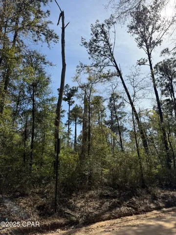 $70,000 | 0 Sunday Road, Chipley, FL 32428