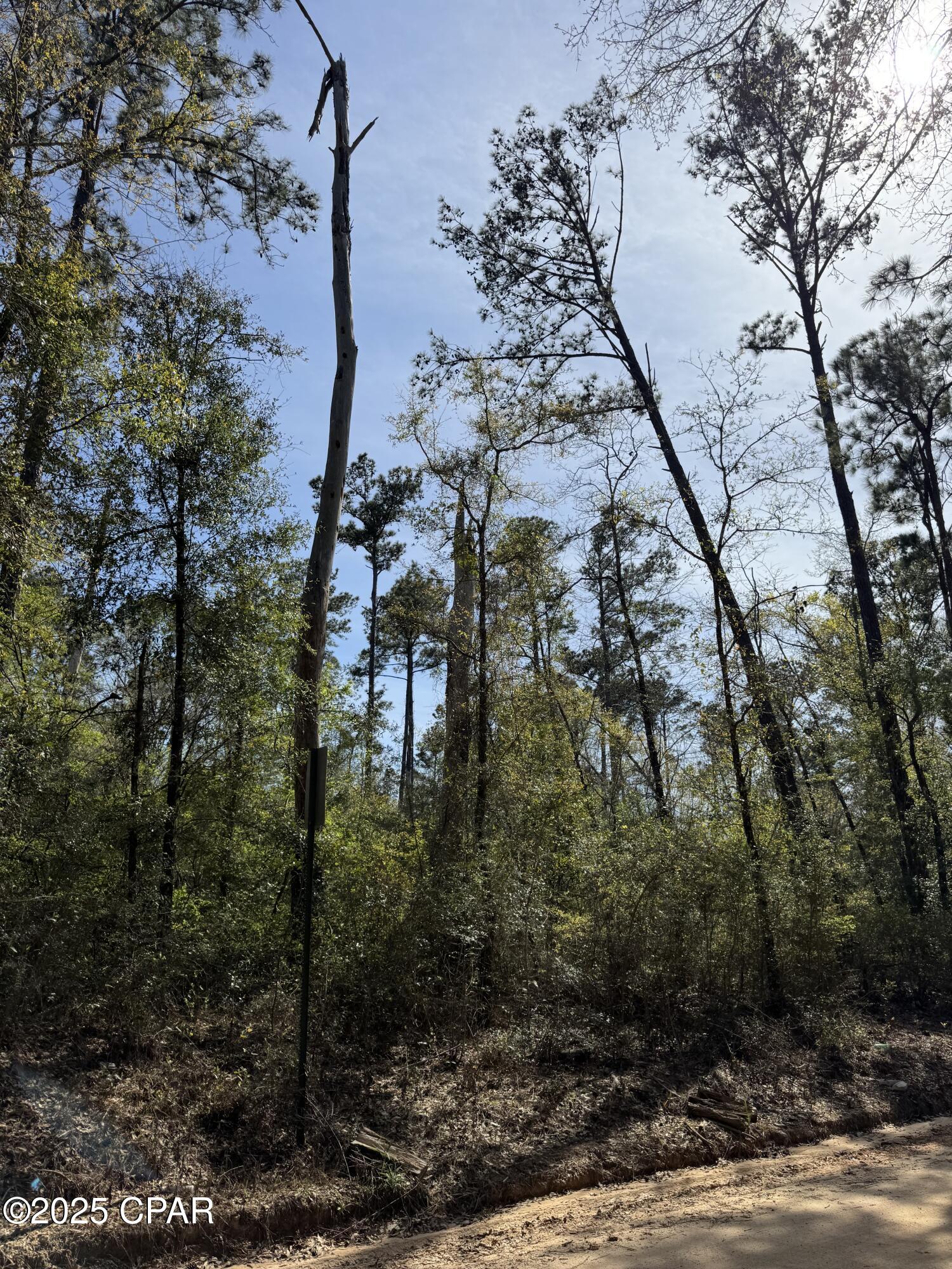 0 Sunday Road Chipley, FL 32428 - Photo 2 of 5