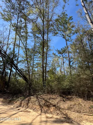 $70,000 | 0 Sunday Road, Chipley, FL 32428