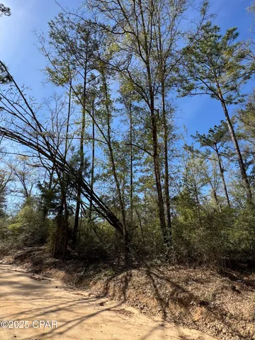 $70,000 | 0 Sunday Road, Chipley, FL 32428
