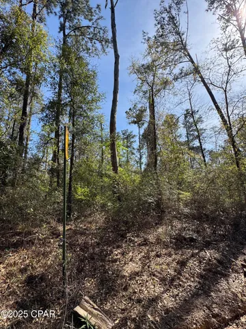 $70,000 | 0 Sunday Road, Chipley, FL 32428