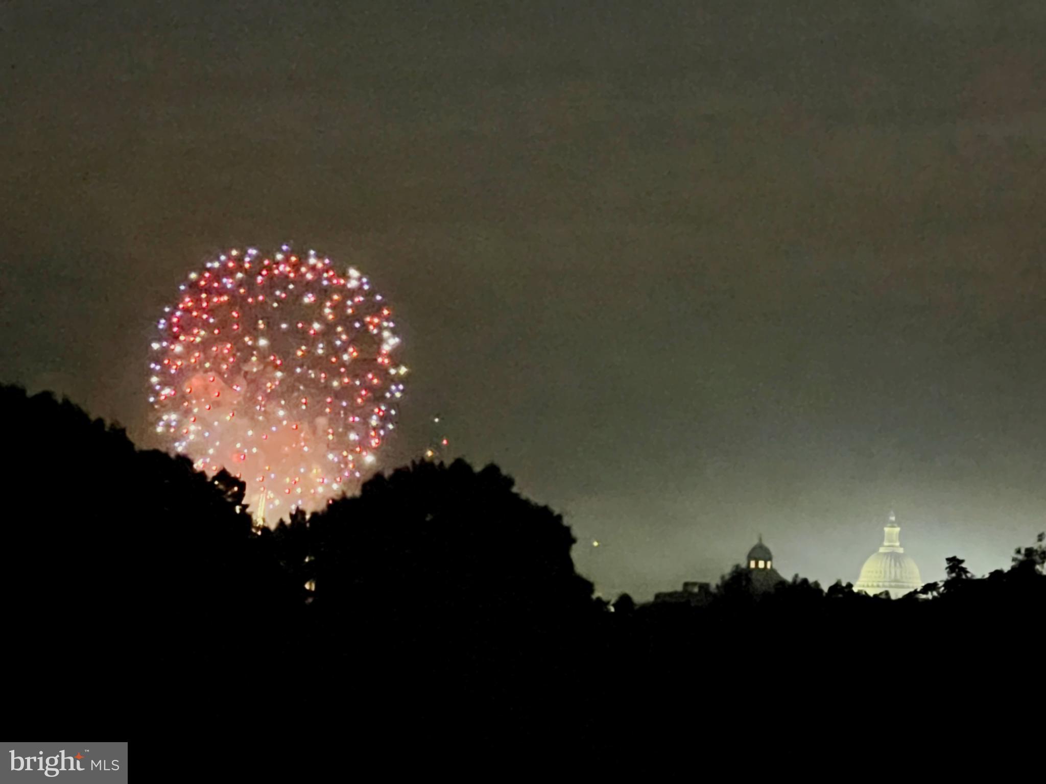 245 15th Street Southeast, Unit 105 Washington, DC 20003 - Photo 23 of 29 a close up of a flower in a garden