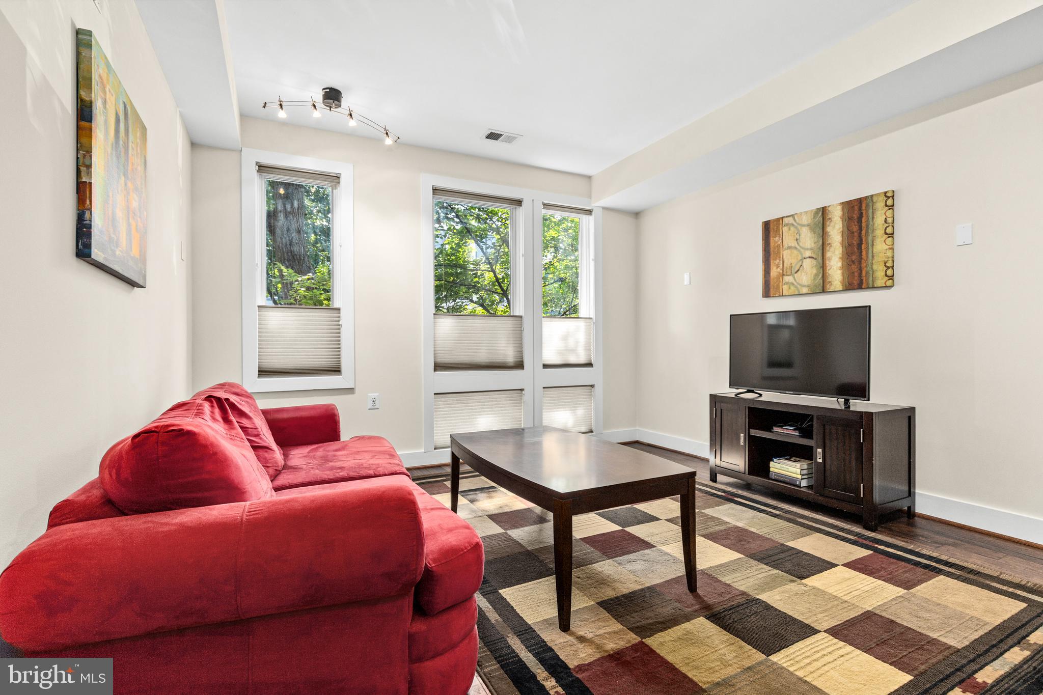 245 15th Street Southeast, Unit 105 Washington, DC 20003 - Photo 8 of 29 a living room with furniture and a flat screen tv