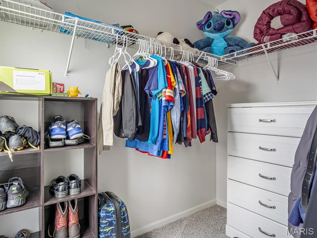 425 Deer Creek Road O'Fallon, IL 62269 - Photo 20 of 36 Gallery Image 20